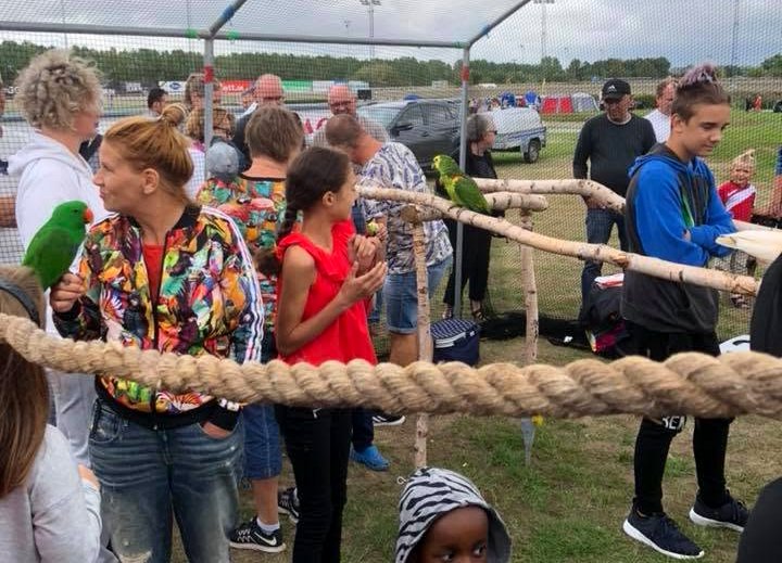 Besökare på en voljärträff