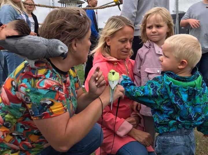 Barn som möter en papegoja